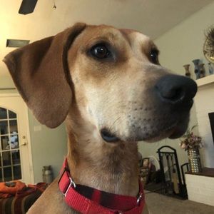 Meet your Posher, Monica